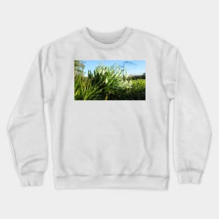 Sun Shines on Fully Bloomed Snowdrops Crewneck Sweatshirt